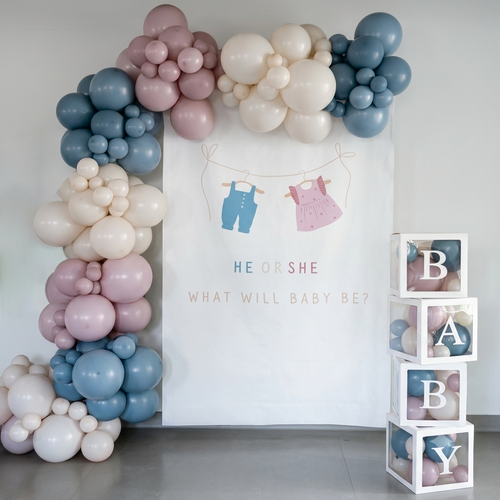 Boy or Girl Baby Shower 💙🩷