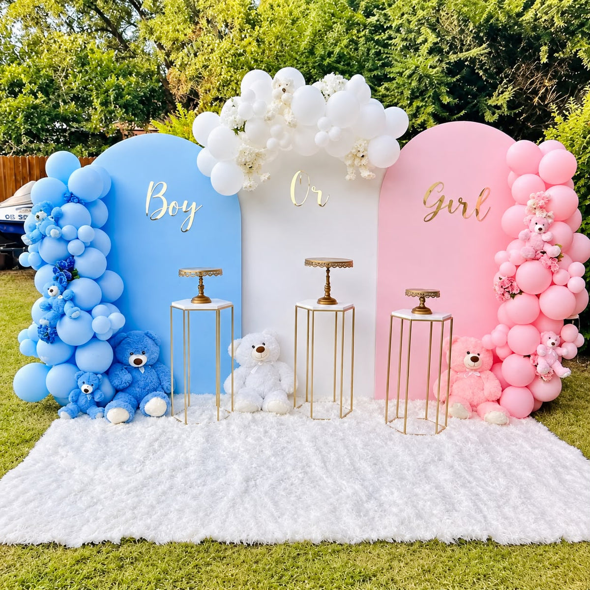 Boy or girl  Baby Shower